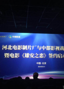 天道神域副本攻略：如何高效击败Boss